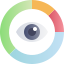 Vision